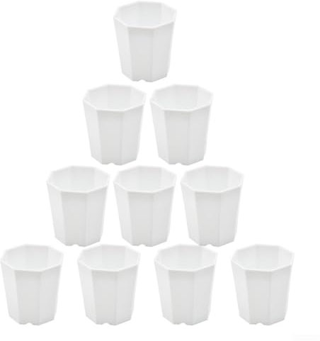 DAZZLEEX Lot de 10 petits pots en plastique blanc pour plantes grasses et boutures de plantes