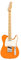 Fender Player Tele MN CAPRI E-Gitarre