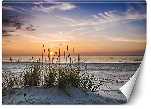 Feeby Wandtapete Fototapete Vlies Strand Blick Gras Dünen 250x175 cm Orange Modern Tapete Wohnzimmer Schlafzimmer Sonnenuntergang Am Meer