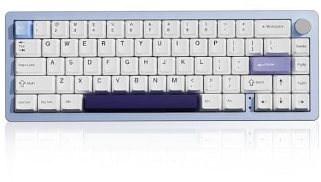 YUNZII AL66 Wireless Mechanical Keyboard,65% Knob Control Aluminum Gaming Keyboard Bluetooth/2.4G/Wired Hot Swappable Pre-lubed Switches,Gasket Mounted RGB Keyboard for Win/Mac(Milk Switch, Blue)