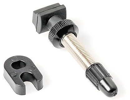 Dt Swiss R6.5 Presta Tubeless Valve 53 mm