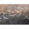murando Papier peint intissé Feuilles 350x256 cm Décoration Murale XXL Poster Tableaux Muraux Tapisserie Photo Nature Botanique comme peint b-A-10366-a-a