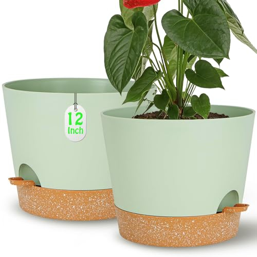 SE SUN-E Selbstbewässernder grüner Kunststoff-Pflanztopf mit Drainageloch und tiefem Reservoir,große Pflanztöpfe für alle Zimmerpflanzen,Sukkulenten,afrikanische Veilchen,Blumen Kakteen,30,5 cm/2