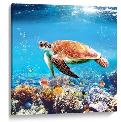 Badezimmer Schildkröte Bild Wandkunst Ozean Unterwasser Wassertier Natur Fotodruck auf Leinwand für Kinderzimmer Blau Wanddekoration 13,5 x 13,5 cm