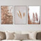 VTRXEG Pampasgras Bilder Poster Set,Beige Pampas Wandbilder Poster Moderne Nordic Wand Deko Bilder,Für Wohnzimmer Wanddekoration Ungerahmt (A,3x50x70cm)