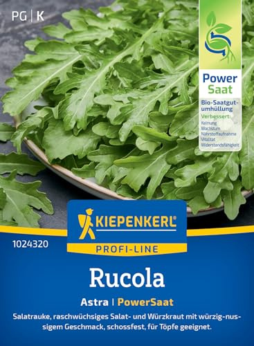 Kiepenkerl Rucolasamen Astra 1024320, Gemüsesaat | Salatrauke, raschwüchsiges Salat & Würzkraut mit würzig- nussigem Geschmack, Schnittsalat, schossfest, aromatisch