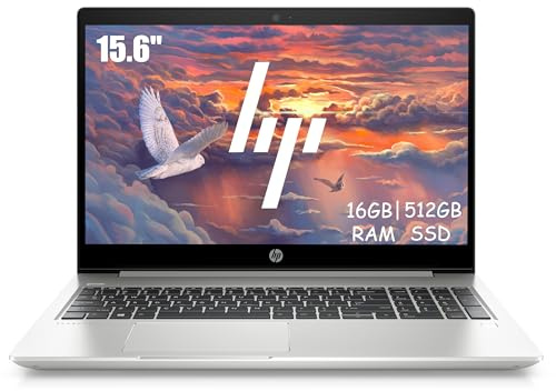 HP ProBook 450 G6 Business Laptop 15.6 (1366 x 768), Intel Core i5-8265U, 16 GB RAM, SSD da 512 GB, tastiera QWERTY giapponese, Windows 11 Pro (ricondizionato)