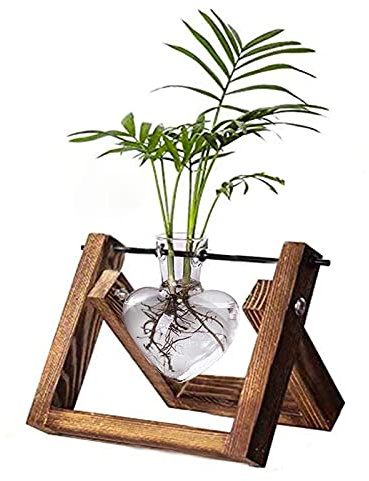 Kingbuy Terrarium mit Holzständer, Desktop Anzuchtstation, Luftpflanzenhalter, Metall Drehhalter für Hydrokultur, Hausgarten, Hochzeitsdekor - 1 Herzvase