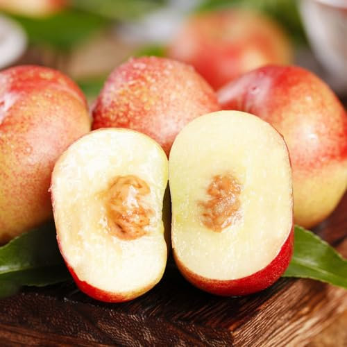 12 Pcs Pfirsichbaum Winterhart Samen - Pfirsichbaum - Winterharte Pflanzen Für Garten, Samen Alte Sorten, Prunus Persica, Gewächshaus Balkon Bio Saatgut, Exotische Samen Winterharte