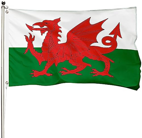 FSFLAG Wales-Flagge, 90 x 150 cm, farbenfrohes 400D-verstärktes Polyester mit zwei Messingösen, walisische Event-Flagge für den Außenbereich, handgefertigt, kein Verblassen