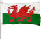 FSFLAG Wales-Flagge, 90 x 150 cm, farbenfrohes 400D-verstärktes Polyester mit zwei Messingösen, walisische Event-Flagge für den Außenbereich, handgefertigt, kein Verblassen