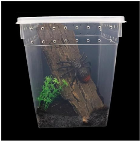 Terrario Per Rettili Scatola Di Alimentazione For Rettili For Invertebrati Mantide Ragno Grillo Scatola Per Insetti