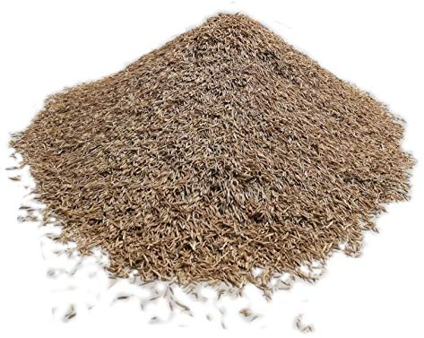 Samenshop24® DSV 870, Böschungsansaat mit Klee, Inhalt: 1kg für ca. 30m², zur Befestigung und Begrünung von Böschungen Hügeln und Gräben, zertifiziertes Saatgut, Profi-Qualität