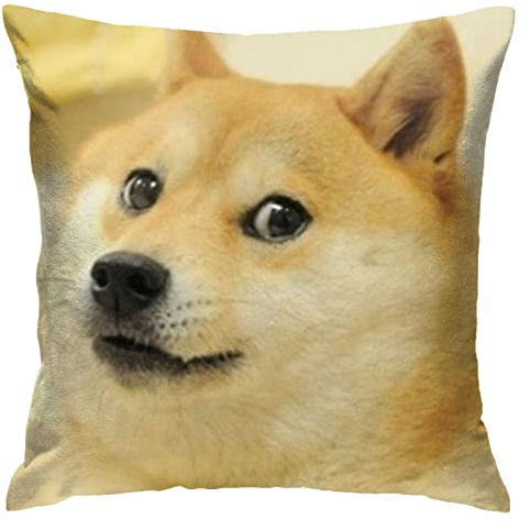 YBW Opaseiro Throw Pillow Case Doge Meme Dog Cushion Home Pillowcase Living Room Soft Square Cover for Decor Bedroom Couch 18 X 18 Inch