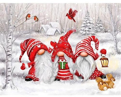 NAIMOER Weihnachtszwerge Diamond Painting Kits für Erwachsene Kinder, 5D Diamant Painting Weihnachten Bilder Erwachsene, Diamond Painting Gnome Bilder Kinder Malerei Set für Home Dekor 30x40cm
