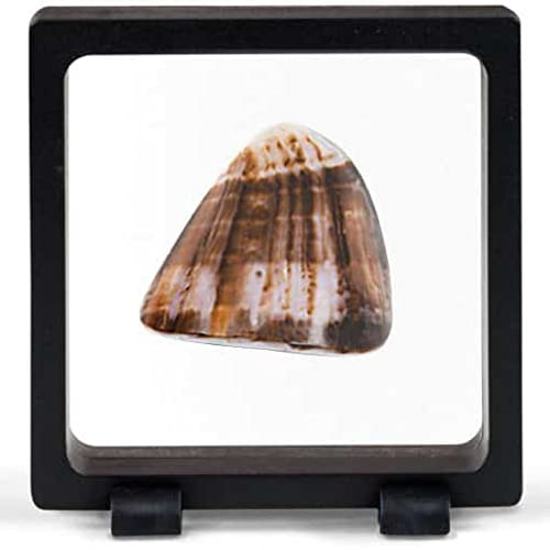 Schweberahmen MAGIC FRAME 90