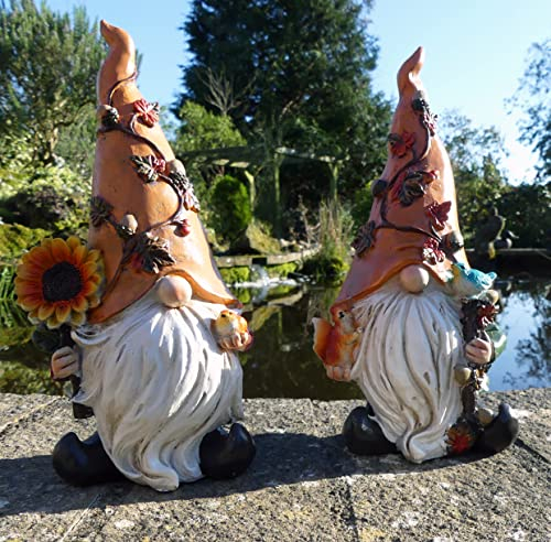 Nains de jardin Harvey et Harry