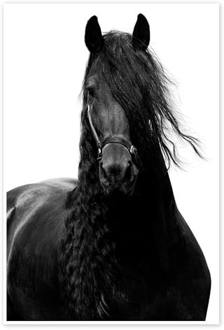 Cheval Poster de Finlay and Noa 20 x 30 cm Noir et blanc Tableaux Décoration murale