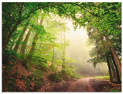 ARTland Wanddeko Wandbild Alu Verbundplatte für Innen & Outdoor Bild 120 x 90 cm Landschaften Wald Foto Grün Natürliche Torbögen durch Bäume B6UU