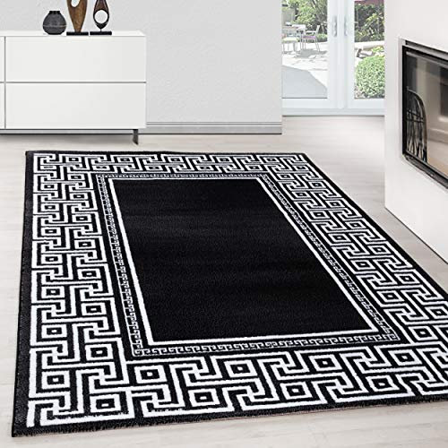 Teppium Moderner Kurzflor Teppich Wohnzimmer 300x400 (280 x 370 cm) Schwarz - Teppich Waschbar, Mäander-Design, Pflegeleicht und Weich - Ideal für Schlafzimmer, Esszimer und als Küchenteppich