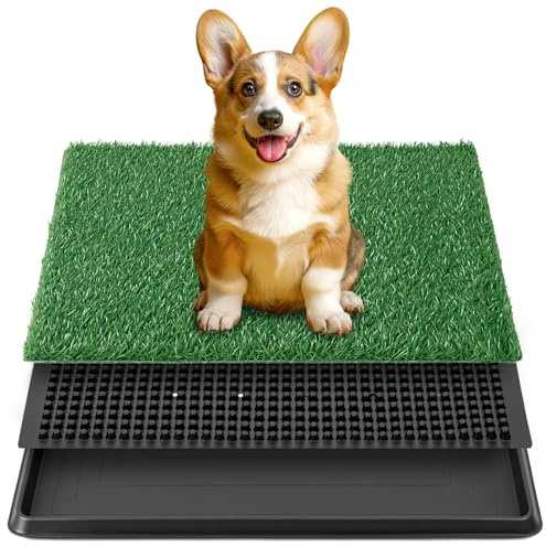 QWORK® Kunstrasen Hundetoilette, 50x60cm Hundeklo für Zuhause, für Kleine und Mittelgroße Hunde