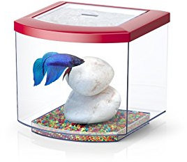 Aquatlantis BettaCub Aquarium, Rot, Glas, Innenbereich, Fisch, Vivarium, modern, rechteckig, Filter, Beleuchtung