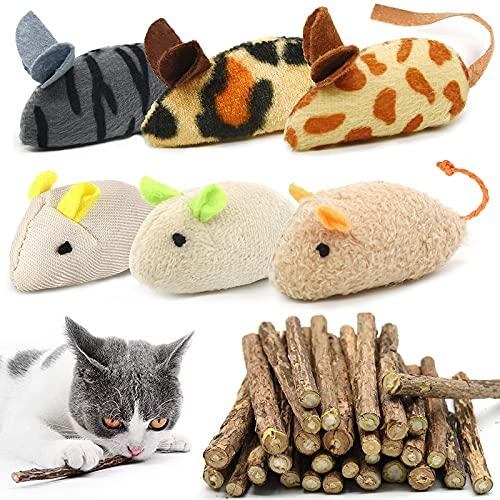 winbarry 36 Stück Katzenminzen Spielzeug, Katzenminzen Spielzeug Plüsch Maus, Katzenspielzeug Interaktives Katzenspielzeug Spielzeug für Katzen und Kätzchen Spielzeug Mäuse