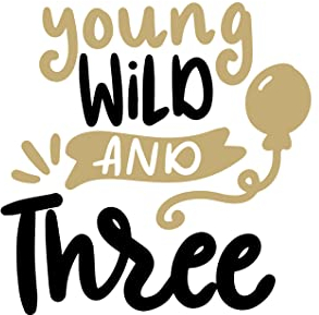 Bügelbild Aufbügler Geburtstag Young Wild and Three in Flex, Glitzer, Flock, Effekt in Wunschgröße