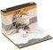 FOELANNE 3D-Tischkalender 2025 Memo-Block, 3D-Notizblock, Desktop-Kalender, hochästhetische, lustige zerreißbare Papierskulptur, 3D-Haftnotizen, perfekt for Heimbüro-Dekoration, Ornament