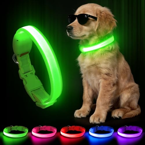 Kpuplol Leuchthalsband Hund, Hundehalsband Leuchtend Aufladbar für Nachts | Wasserdichtes LED Hundegeschirr Leuchtend, Einstellbare Größe 2 Blinkende Lichter