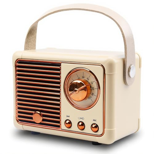 Leikurvo Mini altoparlante Bluetooth portatile: altoparlante a forma di radio, scatola musicale retrò, scatola Bluetooth portatile 5.0 per ufficio, camera, soggiorno, decorazione, regalo di compleanno
