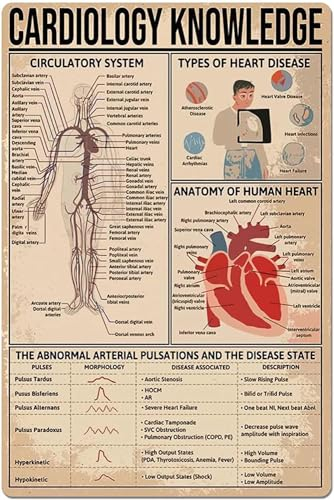 Oudrspo Kardiologie-Wissen, Metallschild, Wanddekoration, Aluminiumschild, Kreislaufsystem, Infografik, Poster, Krankenhaus, Klinik, Club, Zuhause, Küche, Schlafzimmer, 20,3 x 30,5 cm