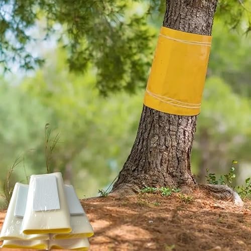 Pafnisoin Glu Arboricole pour Arbre Fruitier 25CM × 3M Gel Anti Fourmis adhésif Attrape Moucheron Anneau de Colle