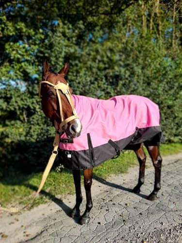 Winterdecke 1200D Highneck 60g (ca. 50g) 115, 125, 135, 145, 155cm (Rosa, 125 cm)