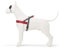 MORSO 7046 Norwegisches Hundegeschirr, S/M