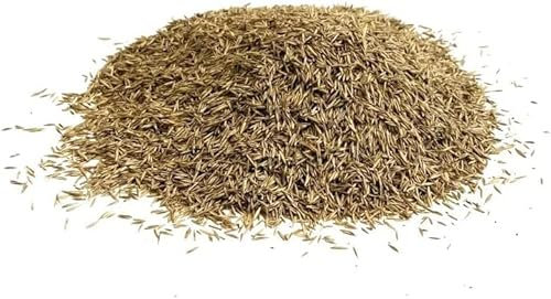 Shady Area Lawn 1Kg Seed Grass Shade (Covers 25 Square metres) LGH