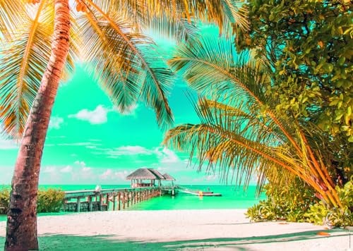 Nathan - Puzzle 1500 Teile - Paradiesstrand - Erwachsene und Kinder ab 14 Jahren - Premium Puzzle - Perfekte Integration - Escape Collection - 12000940