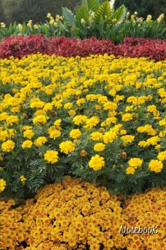 Garden Theme Notebook - Flowerbed Cover: Blank Lined 6x9 120pgs