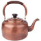 Tetera de cobre vintage con boquilla silbante de 5 litros, tetera para estufa de gas, cafetera retro con asa