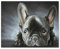 HAIDU 5D Diy Diamond Painting Kit Schwarze Französische Bulldogge Diamond Painting Kunsthandwerk für Zuhause Wanddekoration Full Kit（Round Diamond） 40x50cm-9
