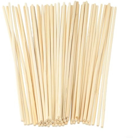 Bulevisiter Lot de 50 tuteurs pour plantes de jardin, 20 cm de haut, tiges de support de fleurs de 3 mm de diamètre pour plantes en pot, arbustes, serres, outils de jardinage