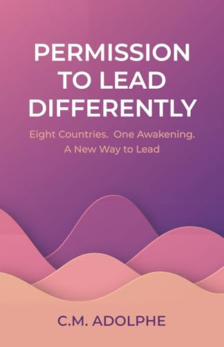 Permission to Lead Differently: Eight Countries. One Awakening. A New Way to Lead