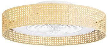 FORLIGHT BEA Ventilador de Techo con Luz LED Silencioso, 6 Velocidades, Regulador de Intensidad y Temperatura de Color, Diseño de Mimbre, Ideal para Hogar y Oficina