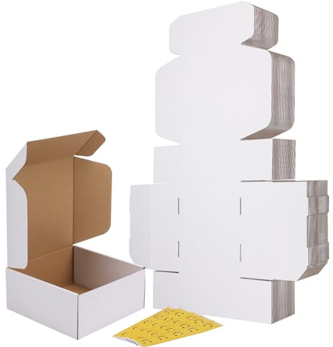 RLAVBL 25 Stück weiße Versandkartons mit den Maßen 22,9 x 22,9 x 10,2 cm für den Versand von Spielzeug und Geschenken