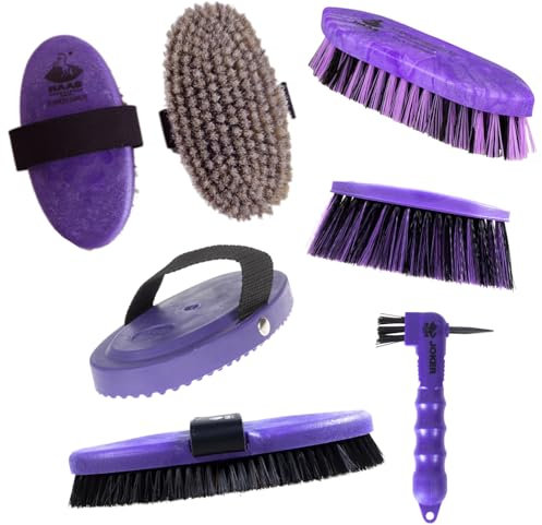 RL24 - Bürsten-Set Lila Laune von Haas (6-teilig) – Putzzeug für Pferde – enthält 6 Pferdebürsten – entfernt Staub, Schmutz & loses Haar – Fellpflege & Glanz – Pferde Zubehör in lila