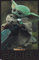 Trends International Star Wars The Mandalorian Staffel 2 – Grogu Wandposter, 56,8 x 86,4 cm, ungerahmt