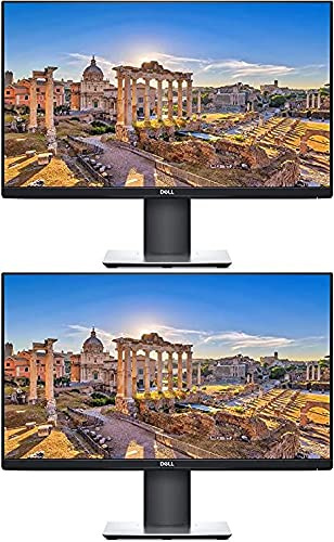 Dell P2419H 24 Full High Definition IPS LED Monitor - 2 Pack bundle