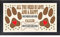 All You Need is Love Rubber Backed Personalised Dog Pet Paw Print Food Bowl Feeding Mat - Gift Idea, Multi, dog_mat_p1