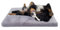 Paco Home Hundebett Katzenbett Flauschig Hundekissen Donut Hundedecke Hund Katze Hundekörbchen Katzenkorb Waschbar, Farbe:Grau, Größe:80x120 cm