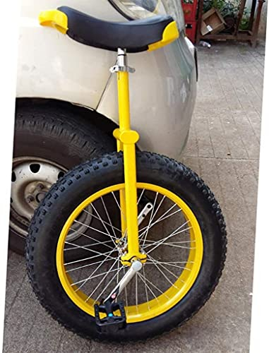 Einrad für Erwachsene und Kinder, 20-24-Zoll-Einräder für Kinder, Erwachsene, Anfänger und Teenager, bequemer Sattel, Einradsitz, Stahlgabelrahmen, Gummi-Mountainbike-Reifen für Unisex-Fahrrad, Bala